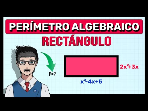 Perimeter of a Rectangle with Algebraic Expressions (Super easy)