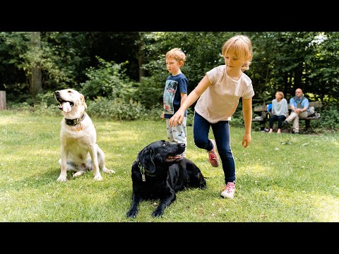 Happy Puppy - Dog-Sharing