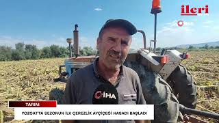 Yozgat'ta sezonun ilk çerezlik ayçiçeği hasadı başladı | İleri Gazetes