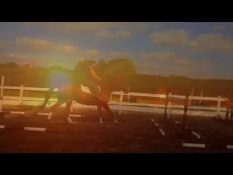 You Make Me  | clairedreyb |