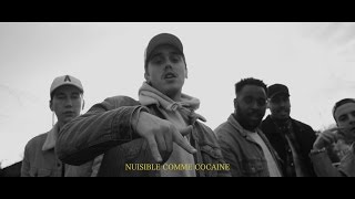 GRINGO - COCAINE.