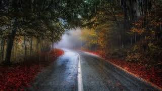 Relaxing sleep music deep sleep music