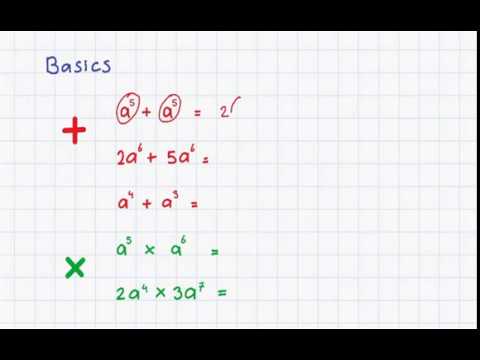 Basics machten en wortels