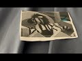 Barney Campfire Sing Along Zoo Zebra 1990