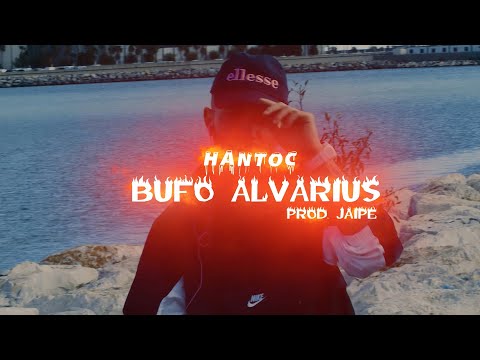 HANTOC - BUFO ALVARIUS ( PROD. JAIPE ) (ONESHOT) [ Motion Maker ]