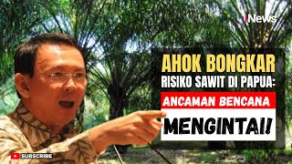 Download lagu Viral! AHOK BERSUARA KERAS! Sawit Masuk Papua Bisa Picu Bencana Seperti di Sumatera mp3