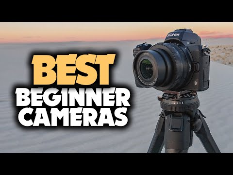 Best Beginner Camera in 2023 - 5 DSLR & Mirrorless Cameras For Beginners