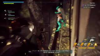 レジェンダリーが出るまで終われないanthem