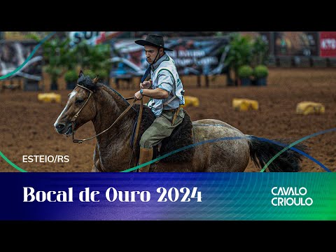 Bocal de Ouro 2024 - Andaduras, Figura, VSP, Esbarradas – Fêmeas - 18/04/2024 - Manhã