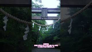 【 玉置神社 】〜神様に呼ばれないと辿り着けない神社に辿り着きました〜