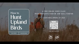 How To Hunt Upland Birds (HD Promo)