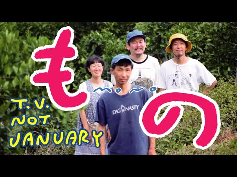T.V.NOT JANUARY 「もの」 Official Music Video 