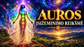 Auros. Įsižeminimo reikšmė 2026 08 29