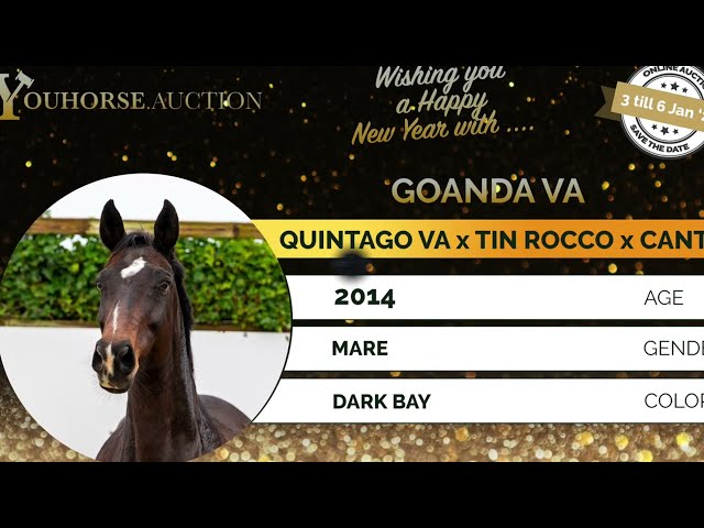 Goanda VA