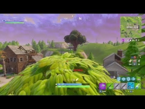 DEADLY SNIPES