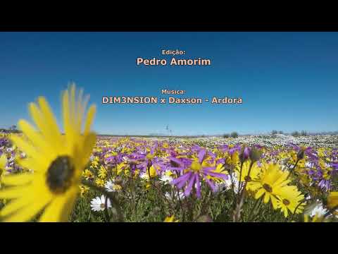 DIM3NSION x Daxson - Ardora