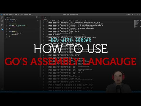 How to use Go's internal assembly language