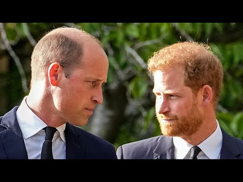 Prince Harry, Prince William asked King Charles not to marry Camilla | SPARE