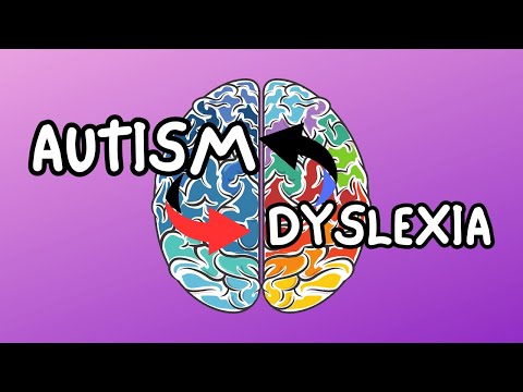 Dyslexie et autisme : pourquoi leurs liens sont plus étroits qu'on ne le pense