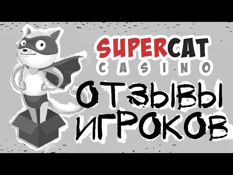 Super Cat Casino, обзор и отзывы игрока