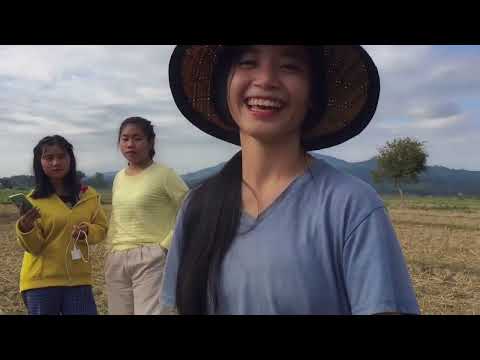 ເຮັດນາບໍ່ໄດ້ເຮັດນົມ - SOMBATH.97​ ft. นัท ชนก(offcaie mv)​