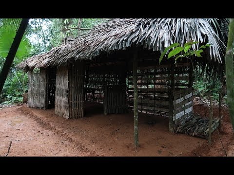 Primitive Technology Panoramic primitive hut | Daily work primitive life