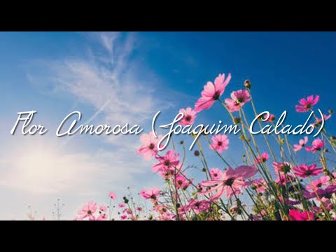 Flor Amorosa