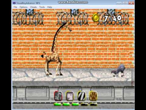 madagascar gba cheats