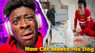 iShowSpeed New Cat Meets His Dog... (bad idea) 😂🤣 REACTION