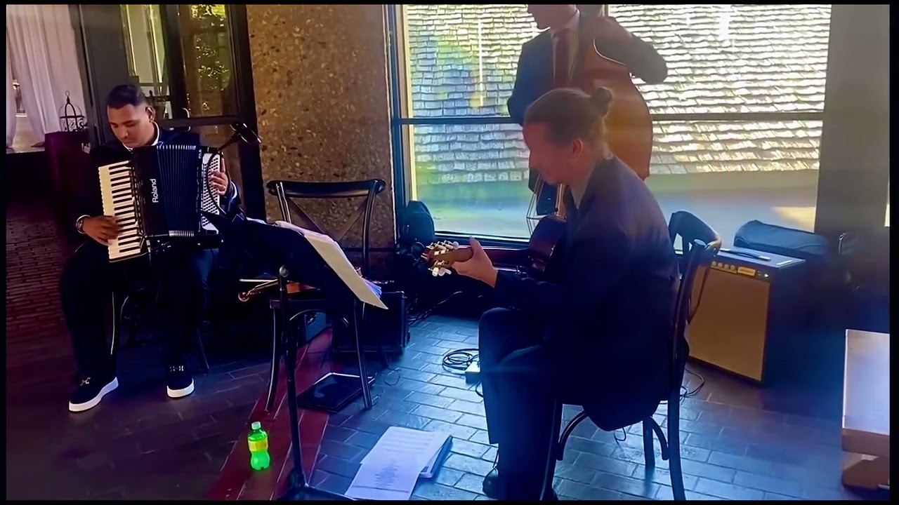 Promotional video thumbnail 1 for ORLANDO DOREL - ACCORDION PLAYER