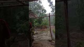 Download lagu ora ono judule mp3 Download lagu ora ono judule mp3