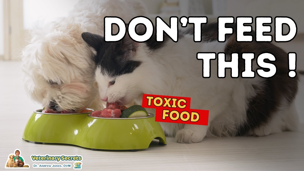 15 Foods That Are Toxic to Cats and Dogs