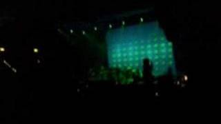 Mando Diao Paralyzed