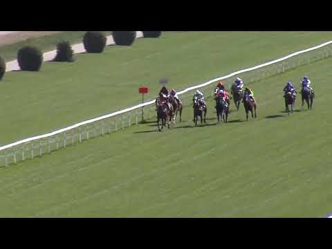 3. dostih - CENA SPORTOVNÍCH POHÁRŮ SABE - dostihy Velká Chuchle 22. 4. 2019