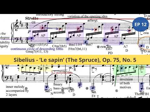 Musical Analysis of Sibelius’ “Le sapin” (The Spruce) – Op. 75, No. 5 | EP 12
