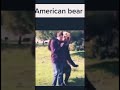 American Bears Vs Russian Bears
