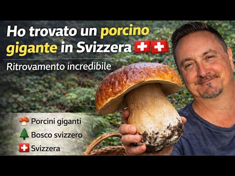 Ho trovato un porcino gigante in Svizzera 🍄🇨🇭 | Ritrovamento incredibile