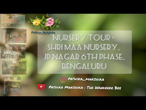 Ranjitha Hegde R Nursery Tour - Shri Maa Nursery, JP Nagar, 6th Phase