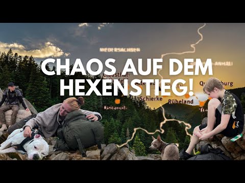 Harzer Hexenstieg- wandern mit Kind und 3 Hunden- Teil 1