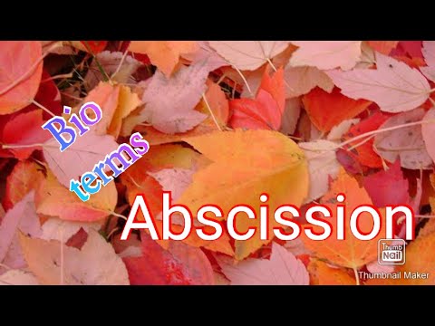 Abscission|Biological terms|
