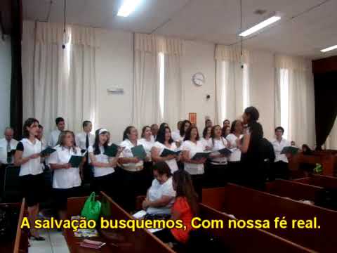 Coral Estaca Itu Brasil - Ensaio