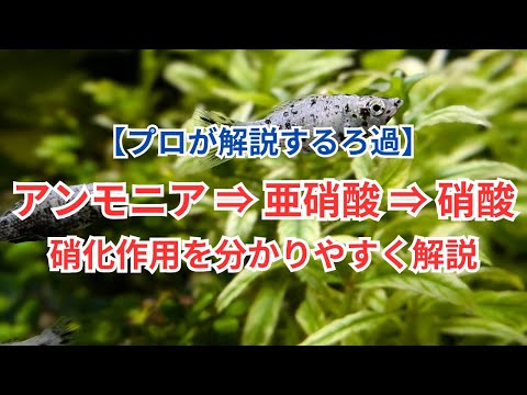 膜ろ過 - 定義