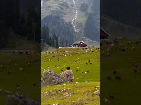 Ilahi Mera jee aaye | Status | YouTube Shorts | #youtubeshorts #shorts