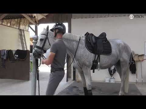 En pratique avec Christopher Six #5 | Cavalier de haut niveau : quel système en concours complet ?