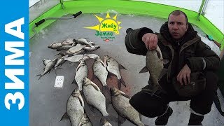 Прикормка для зимней рыбалки из мотыля