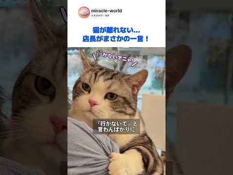 帰ろうとすると腕を離さない猫。店長「もう連れて帰ります？」ｗｗ