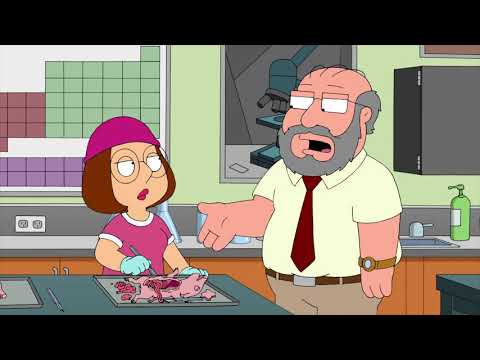 Family Guy - Dissection and Jews