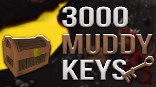 Loot From 3,000 Muddy Keys