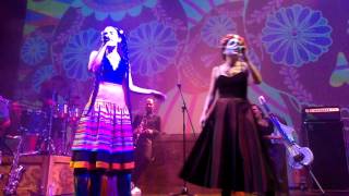 Monsieur Perine Cempasuchil