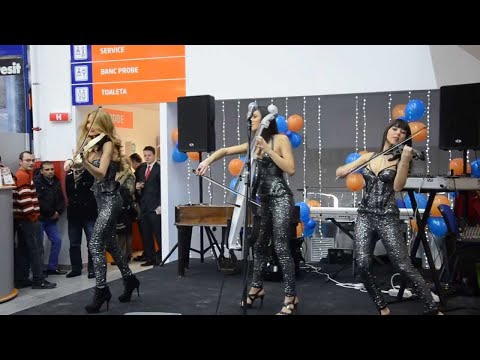 Amadeus Electric Quartet - Personal Jesus | Inaugurarea Dedeman Ploiesti (2013)